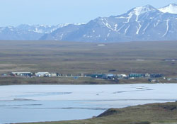 Arctic LTER