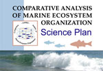 Comparative Analysis of Marine Ecosystem Organization
