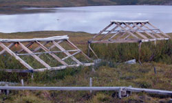 greenhouses