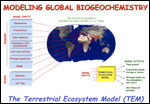 The Territorial Ecosystem Model